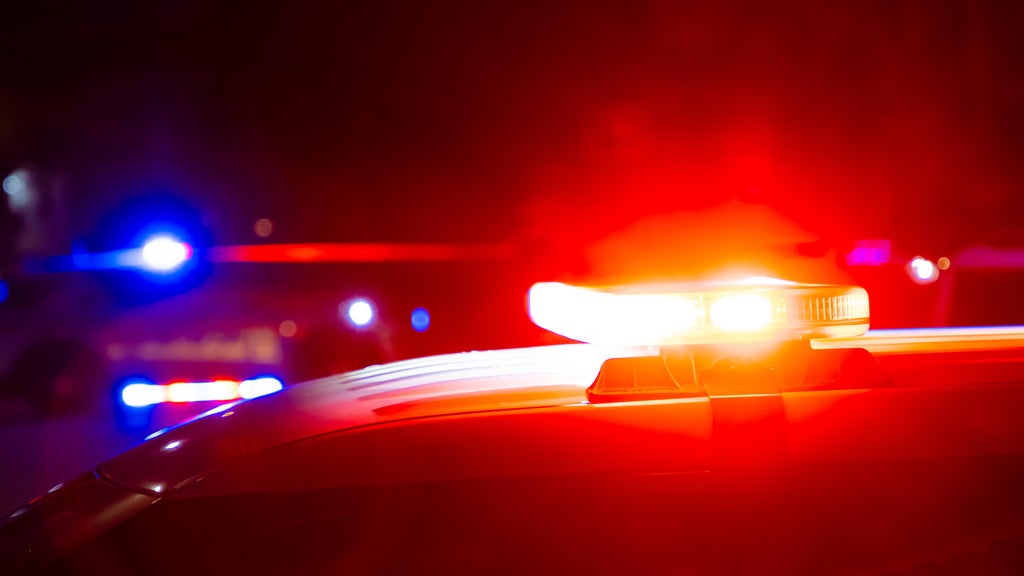 Driver killed in head-on collision with semi in central Minnesota — Maple Grove Sports news