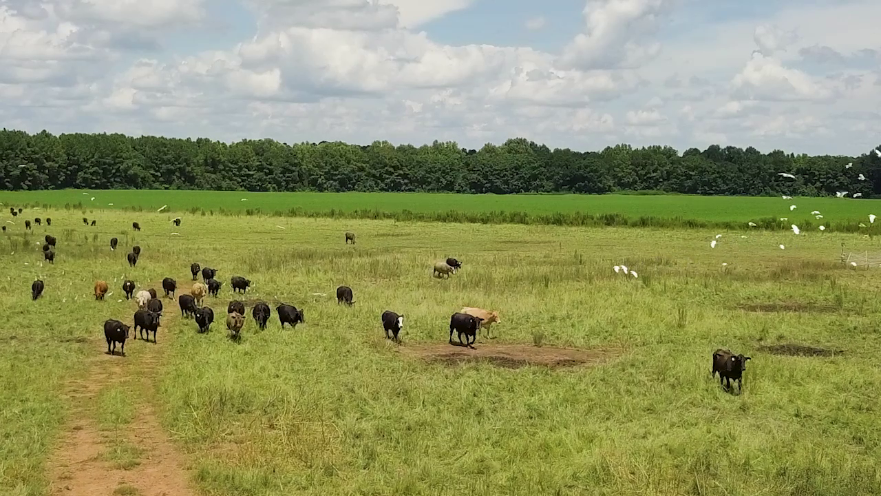5 ON YOUR SIDE: Regenerative agriculture — Maple Grove Health news