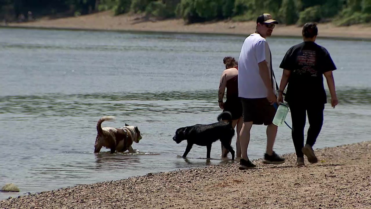 Minnehaha Dog Park ending off-leash use in December despite public outcry — FOX 9 News — Gopher
