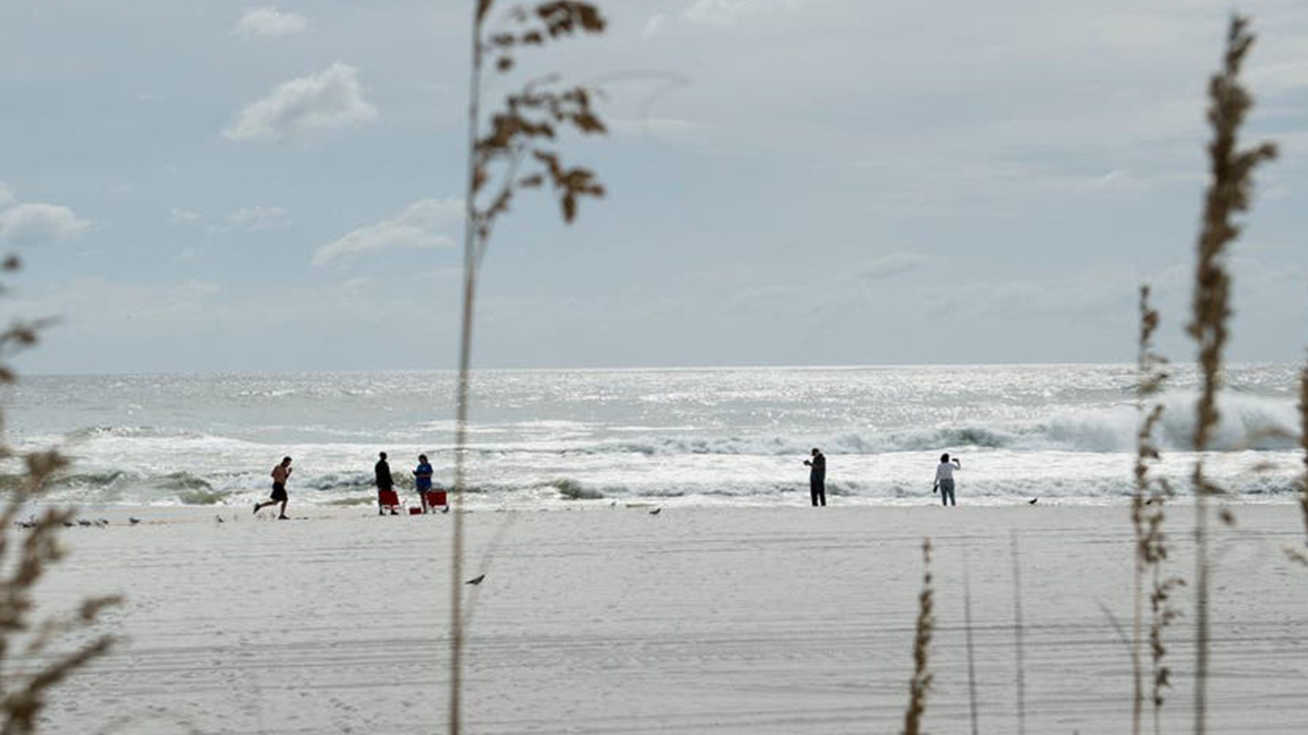 Father of 2 drowns after being caught in current trying to rescue seagull caught in fishing line — FOX 9 News — Gopher
